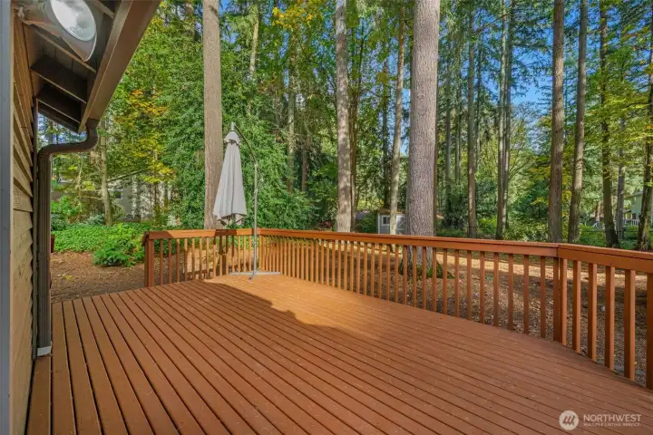Back deck