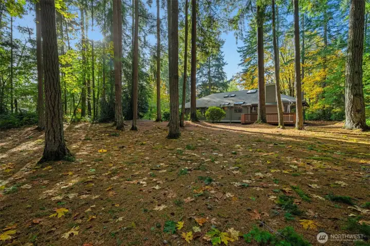 Very large back yard. Easy maintenance