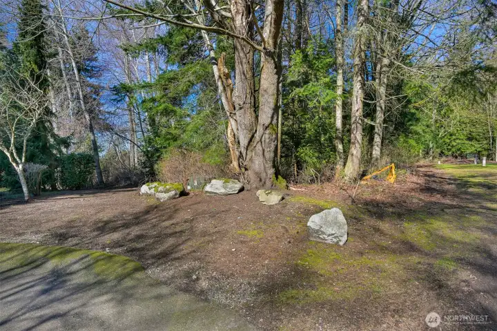 Lot is not cleared homes are built on each side of this lot