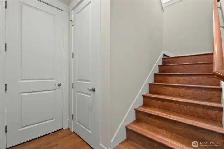 Secondary stair cases off study