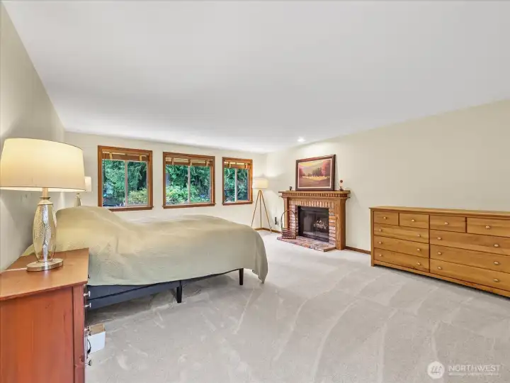 Primary bedroom with fireplace!