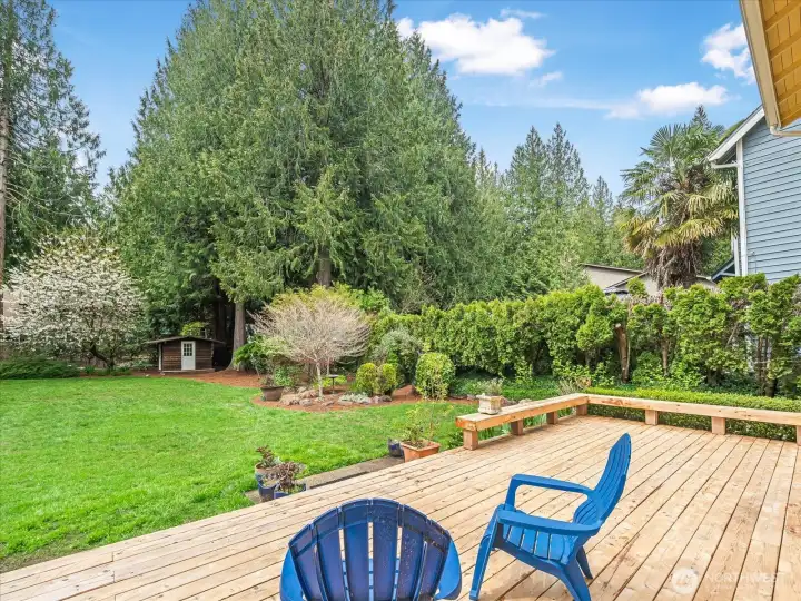 Playhouse or storage shed in the corner. Yard borders Sahalee Country Club neighborhood. Lots of trees!