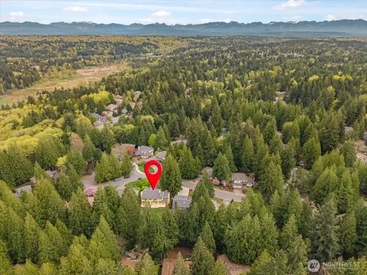 Surrounded by trees, this home is private and tranquil.