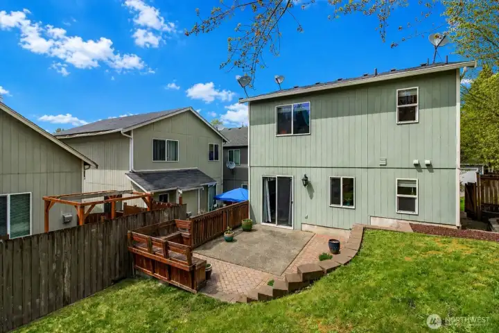 Backyard on a sunny day