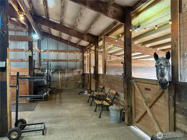 Interior of amazing barn. See the supps for a list of all the features.