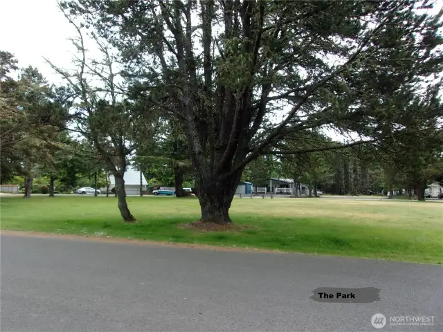 Park across the street in center of loop