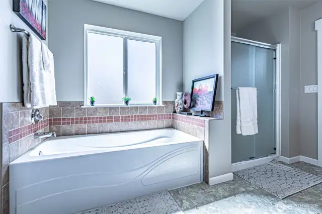 Large Soaking Tub and Walk-in Shower