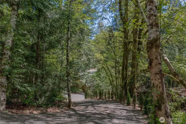 The freshly graveled driveway adds the perfect finishing touch to this beautifully maintained property