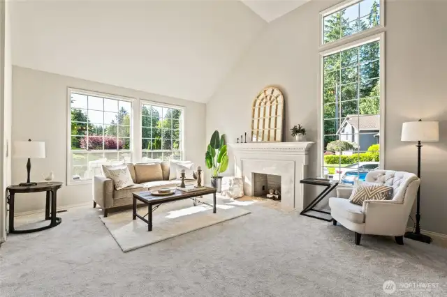 Second fireplace in living room. Those tall ceilings are gorgeous.