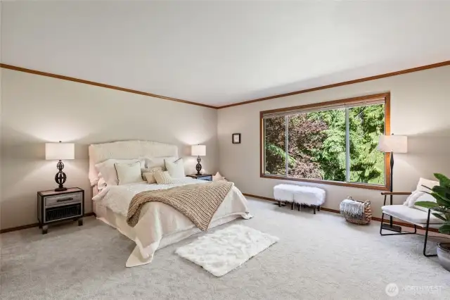 Enter the large primary bedroom.  What a view to greenbelt!
