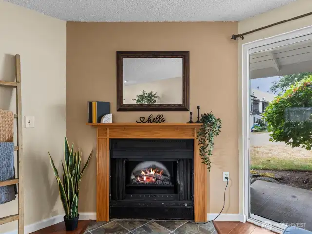 Electric fireplace with fan  for those chilly evenings