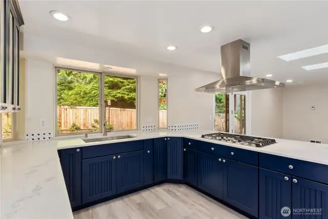 Alt view kitchen