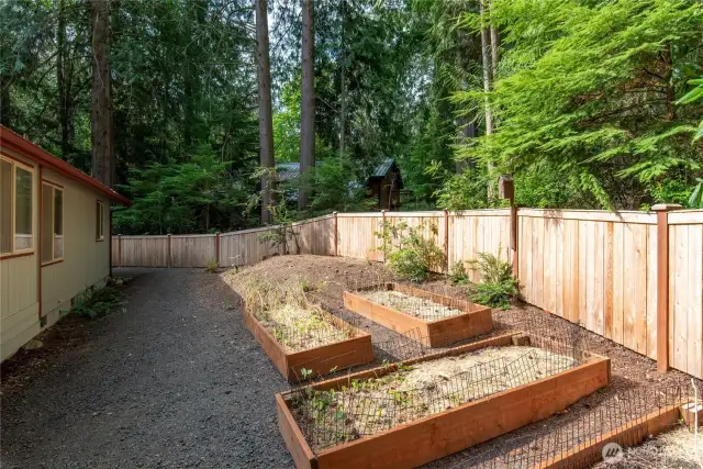 Back yard with new fence and raised garden beds