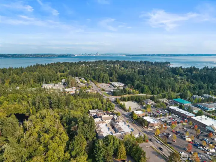Full perspective of the condo community