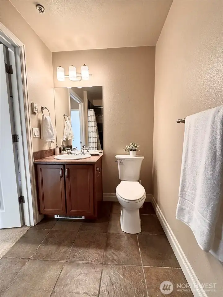 Hall bathroom