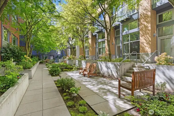 Courtyard between buildings