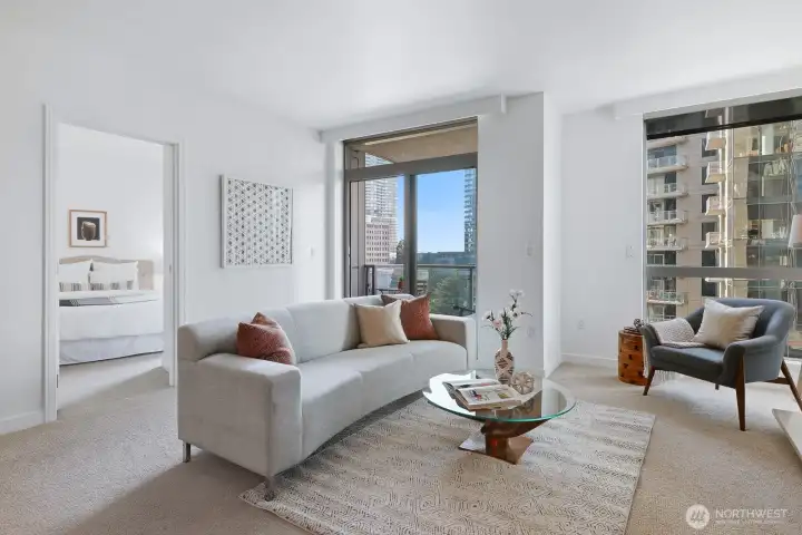 Magnificent natural light in the living room with western facing views.