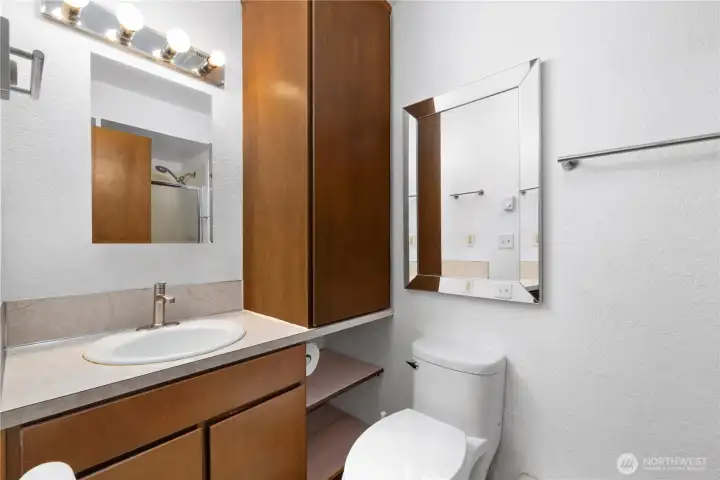 Guest bathroom