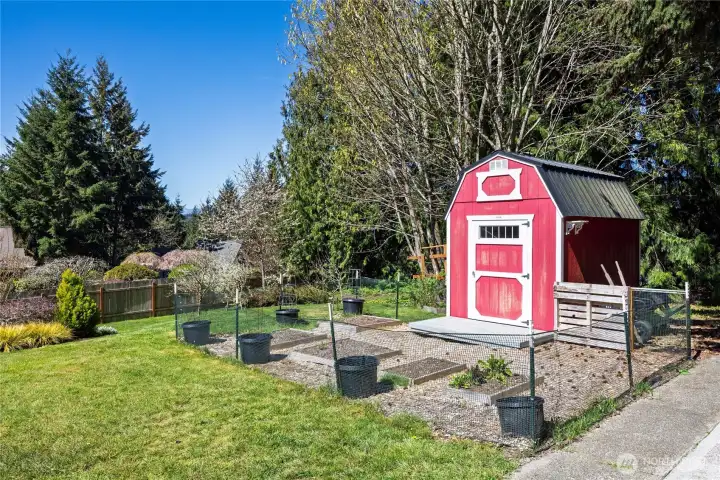 Garden space and outbuilding.