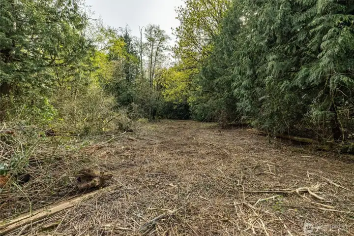 The property is easy to explore with the recent blackberry removal.