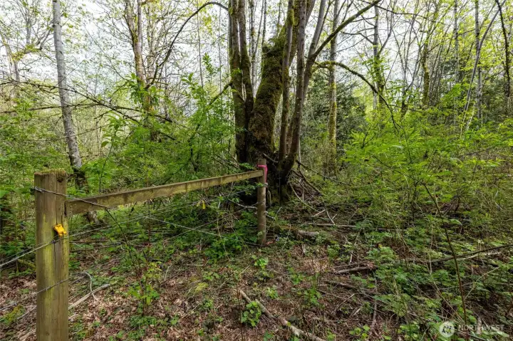 Back South East corner of the property.