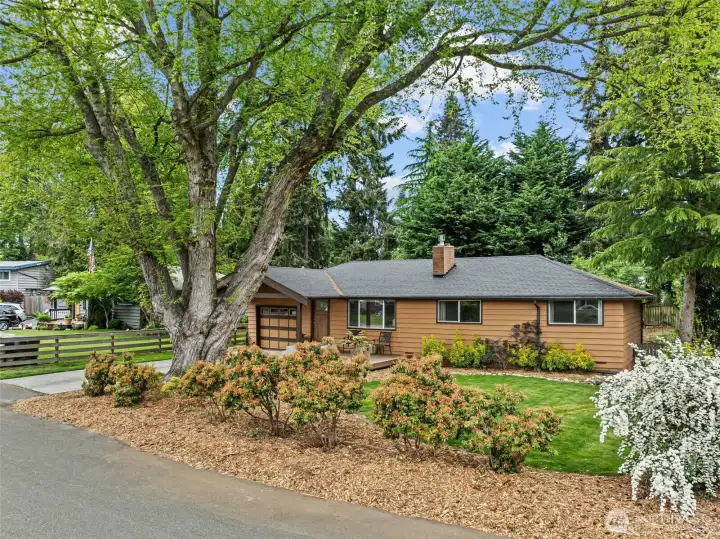 Personality from the curb with mature landscape, raised garden beds, and iconic old growth tree naturally set this lot apart.