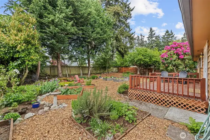 Side yard walking path to backyard.