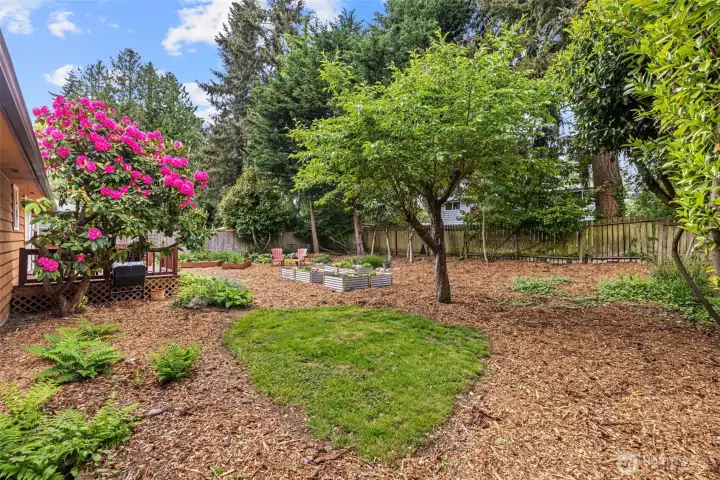 Backyard sanctuary!
