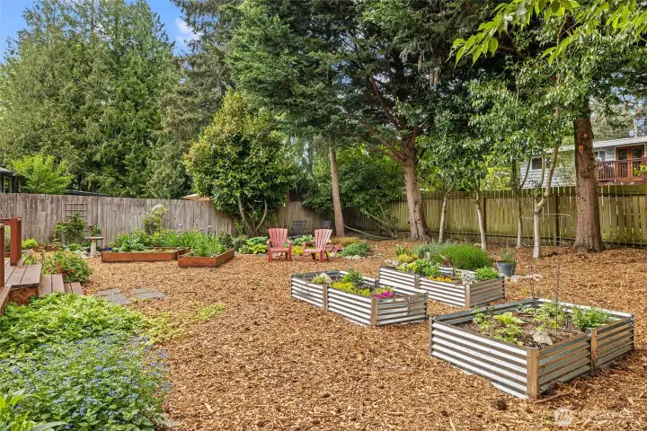 Raised garden beds.