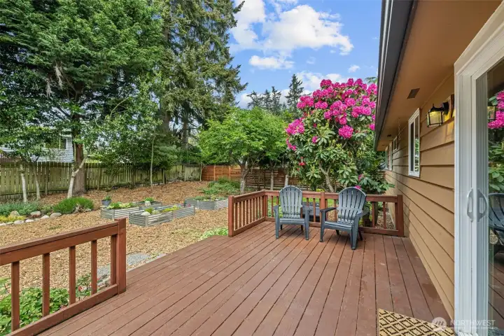 Backyard entertaining deck.