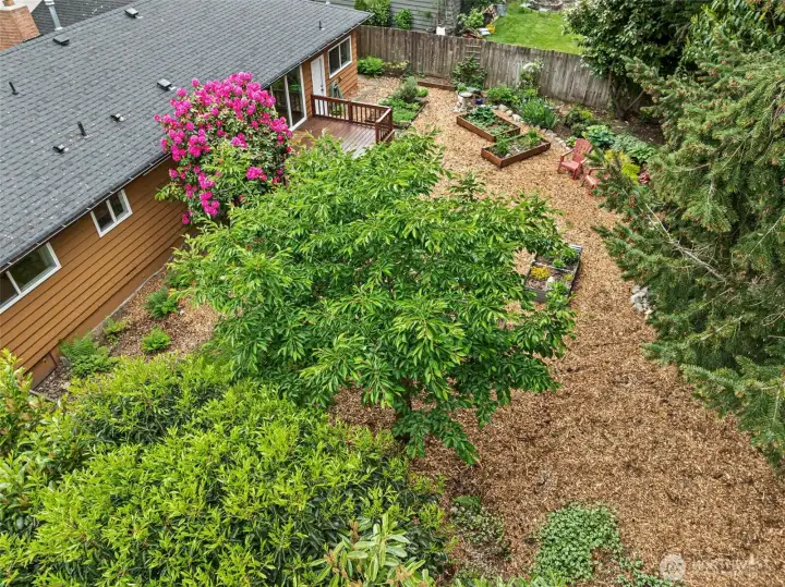 Backyard back shot.
