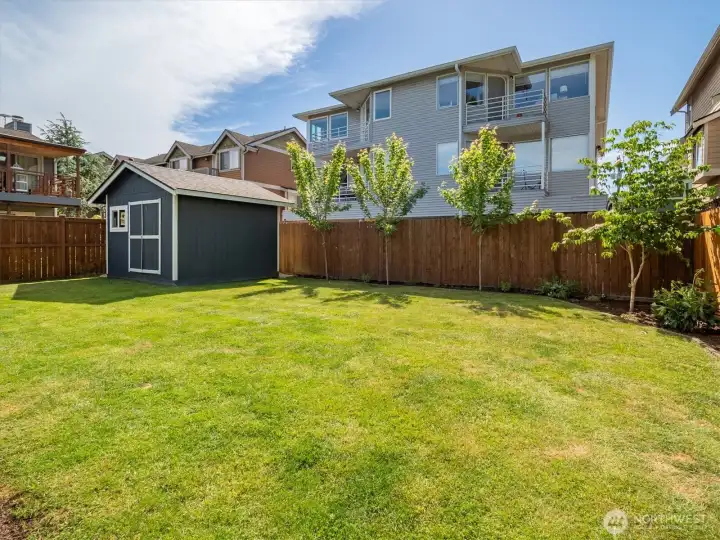 Great space to entertain and relax. The trees are starting to fill out. Level lawn creates space for fun games.