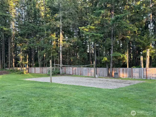 Sand volleyball court with stadium lights--horseshoe court, wood firepit too!