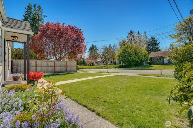 In front, young apple trees grow in the planting strip by the sidewalk, and a paved walkway (freshly poured in 2023) leads to the front door flanked by garden beds where bluebells and roses bloom.