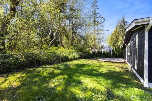 Back yard