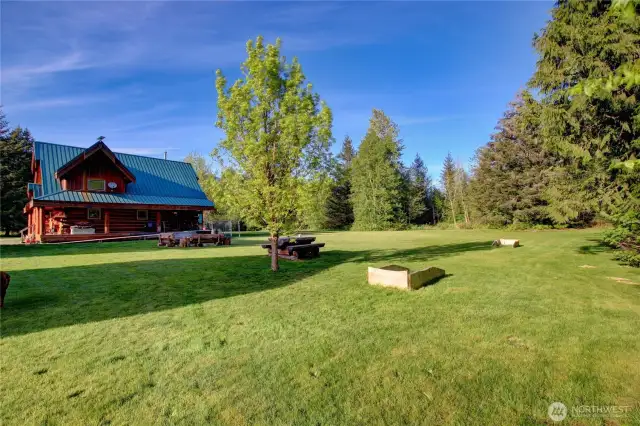 Back of house with Purple Heart Tree.