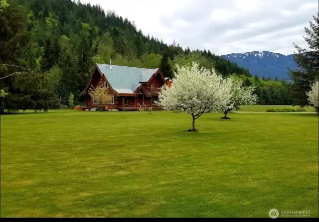 Seller provided photo of fruit trees in bloom in  a previous year.