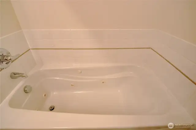 Primary bathroom jacuzzi