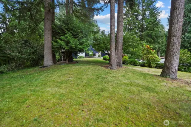 This 18k sq ft lot has lots of extra space to garden or play