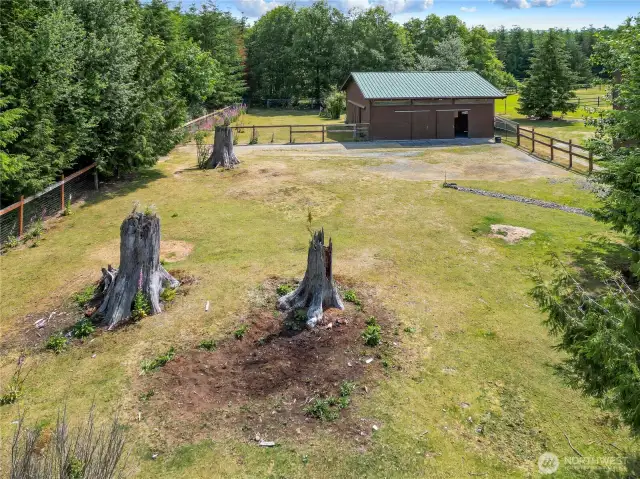 One of two paddocks connected to the barn.