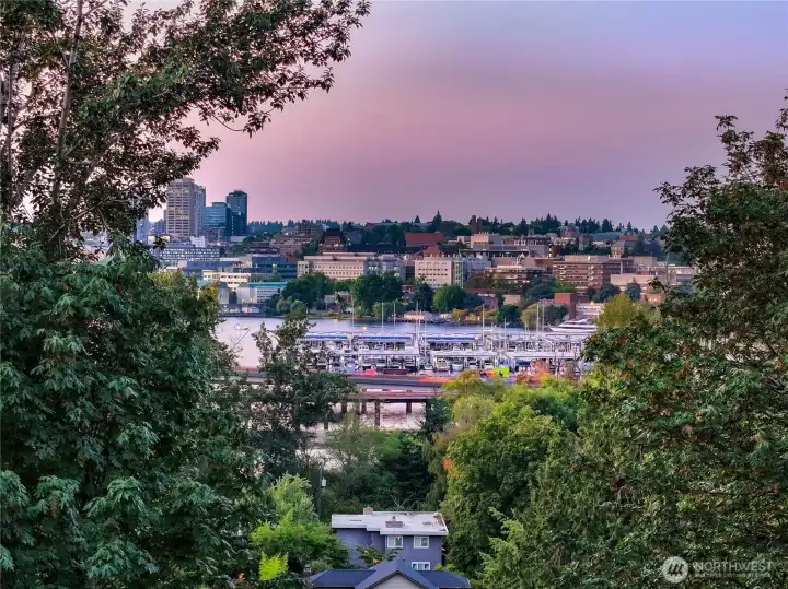 From the woodland canopy, glimpses of Portage Bay and the city beyond emerge like living artwork. Olmsted’s green sanctuary delivers rare privacy, even as Capitol Hill’s vibrancy waits just outside the trees.