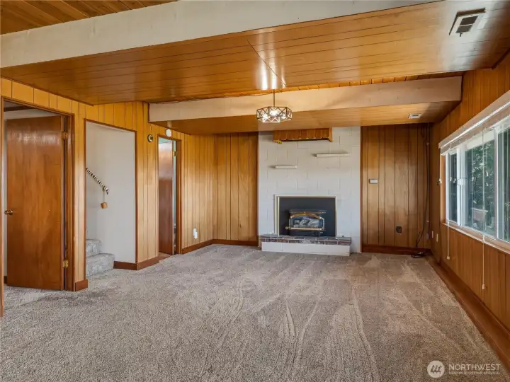 Family Room Downstairs