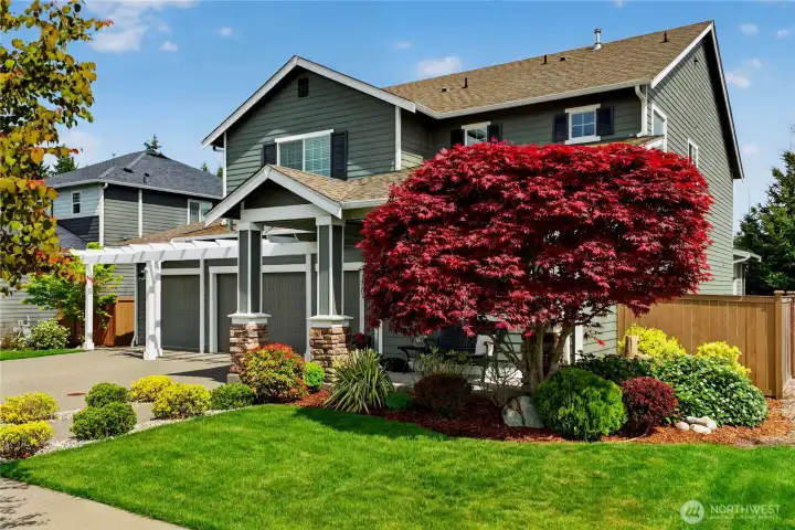 All gutters inspected (2026) Front gutters were replaced. Freshly stained fence and mature front landscaping.