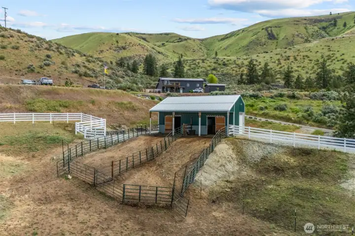 Horse pasture