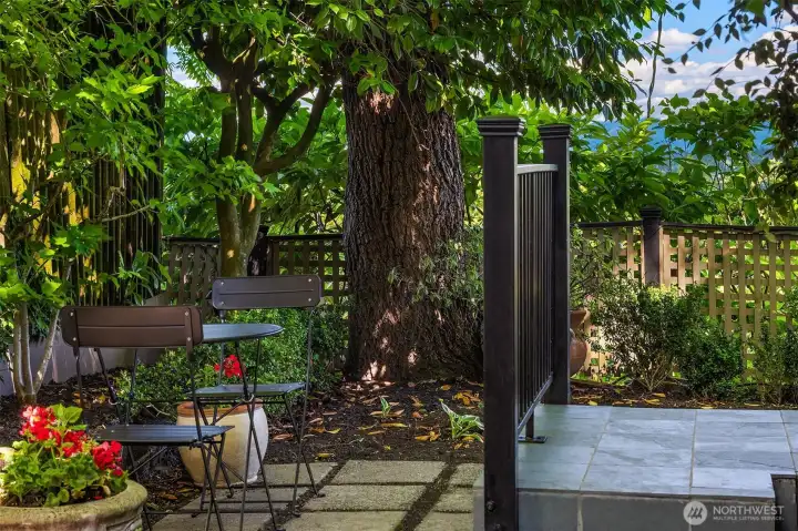 A private side courtyard where hummingbirds abound. A private side courtyard where hummingbirds abound.