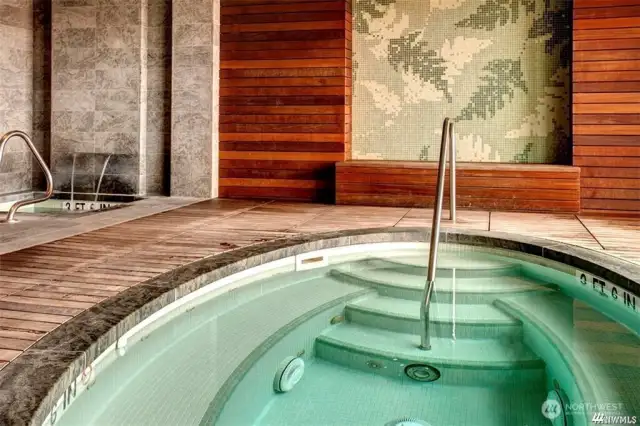 Spa with hot tub, cold plunge, steam room + and sauna!