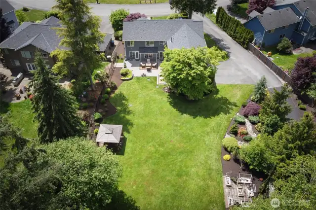 Large Flat Grass Backyard