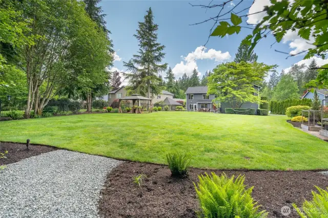 Large Grass Backyard