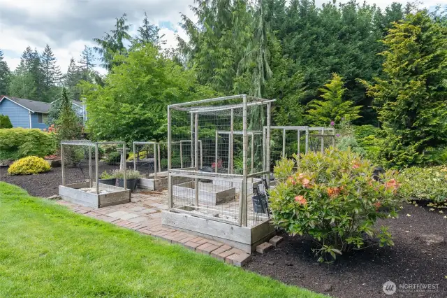 Raised Garden Beds