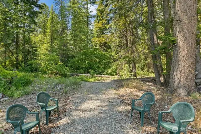 Trial to little Creek from backyard